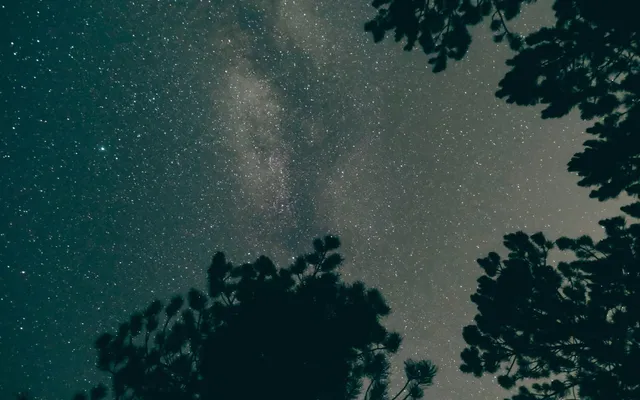 Rozgwieżdżone niebo sfotografowane aparatem Sony