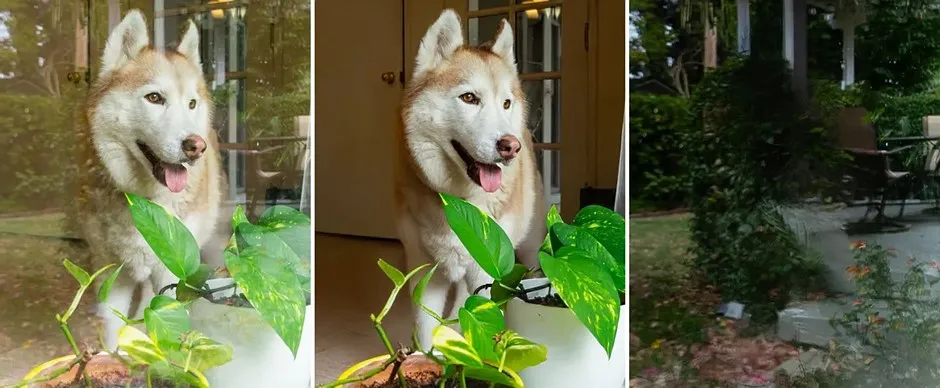 Zdjęcie przez szybę przed i po usunięciu odbić w Adobe Camera Raw